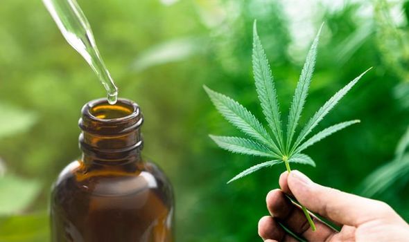 CBD-oil-What-is-it-and-what-are-the-benefits