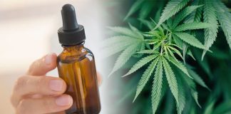 CBD Oil For BJJ – Everything You Need To Know CBD Oil For BJJ